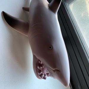 Rubber shark toy